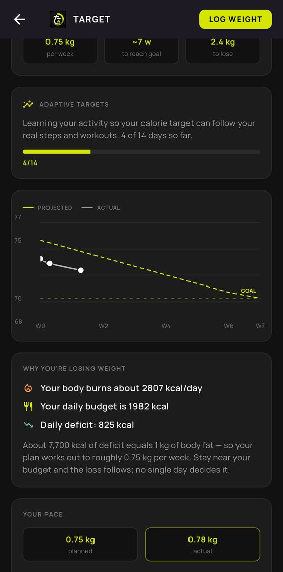 Adaptive targets: the calorie budget learns from your real steps and workouts